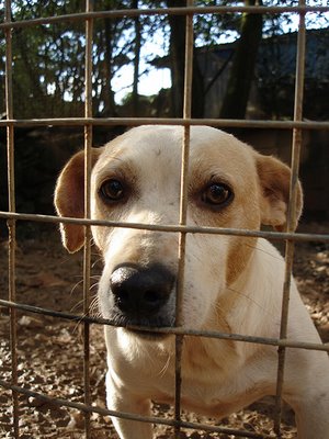 303782809_a6bc32e00e.jpe